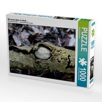 Produktbild: CALVENDO Puzzle Mit einem Stein im Brett ... | 1000 Teile Lege-Gr&ouml;&szlig;e 64x48cm Foto-Puzzle f&uuml;r gl&uuml;ckliche Stunden