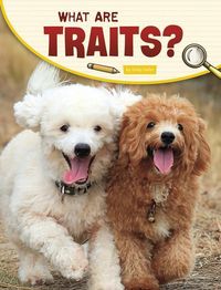Produktbild: What Are Traits?