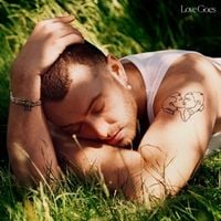 Produktbild: Love Goes (2LP)