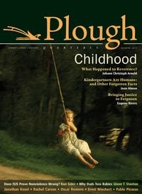 Produktbild: Plough Quarterly No. 3
