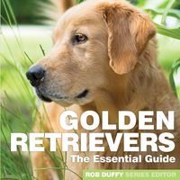 Produktbild: Golden Retrievers
