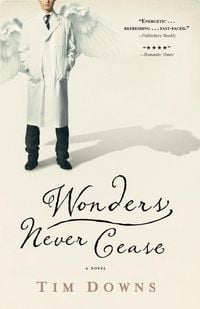 Produktbild: The Wonders Never Cease