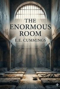Produktbild: The Enormous Room