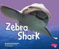 Produktbild: Zebra Shark