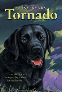 Produktbild: Tornado