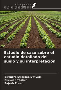 Produktbild: Estudio de caso sobre el estudio detallado del suelo y su interpretaci&oacute;n