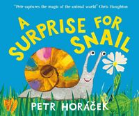 Produktbild: A Surprise for Snail
