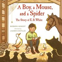 Produktbild: Boy a Mouse & a Spider--The St