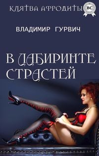 Produktbild: In the labyrinth of passions