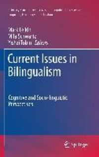 Produktbild: Current Issues in Bilingualism