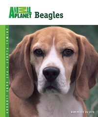 Produktbild: Beagles