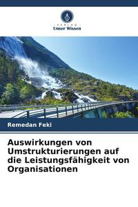 Produktbild: Auswirkungen von Umstrukturierungen auf die Leistungsf&auml;higkeit von Organisationen