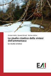 Produktbild: Lo studio cinetico della sintesi dell'ammoniaca