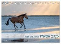 Produktbild: Pferde 2026 Kraft und Anmut (Tischkalender 2026 DIN A5 quer), CALVENDO Monatskalender