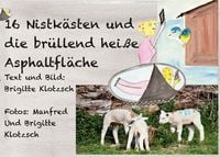 Produktbild: Sechszehn Nistk&auml;sten und die br&uuml;llend hei&szlig;e Asphaltfl&auml;che