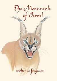 Produktbild: The Mammals of israel