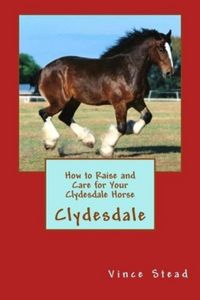 Produktbild: How to Raise and Care for Your Clydesdale Horse