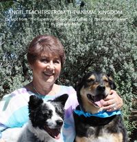 Produktbild: Angel Teachers from the Animal Kingdom