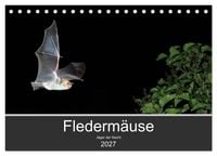Produktbild: Flederm&auml;use - J&auml;ger der Nacht (Tischkalender 2027 DIN A5 quer), CALVENDO Monatskalender