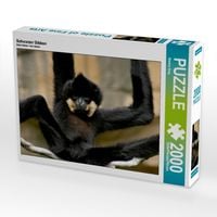 Produktbild: CALVENDO Puzzle Schwarzer Gibbon | 2000 Teile Lege-Gr&ouml;&szlig;e 90x67cm Foto-Puzzle f&uuml;r gl&uuml;ckliche Stunden
