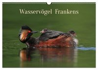 Produktbild: Wasserv&ouml;gel Frankens (Wandkalender 2026 DIN A3 quer), CALVENDO Monatskalender