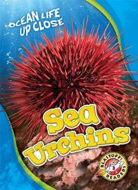 Produktbild: Sea Urchins