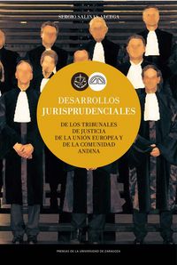 Produktbild: Desarrollos jurisprudenciales de los Tribunales de Justicia de la Uni&oacute;n Europea y de la Comunidad Andina
