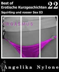 Produktbild: Erotische Kurzgeschichten - Best of 22