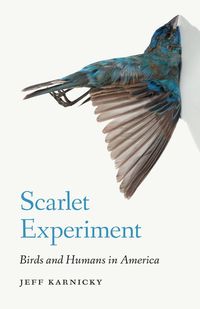 Produktbild: Scarlet Experiment