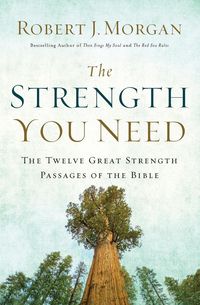 Produktbild: The Strength You Need