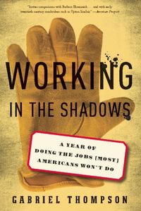 Produktbild: Working in the Shadows