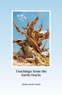 Produktbild: Teachings from the Earth Oracle