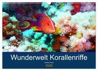 Produktbild: Wunderwelt Korallenriffe (Wandkalender 2026 DIN A3 quer), CALVENDO Monatskalender