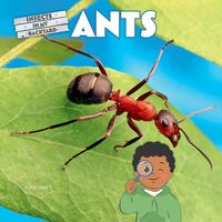 Produktbild: Ants
