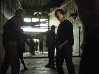 The Walking Dead - Staffel 5 - Uncut  [5 DVDs]