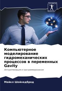 Produktbild: Komp'&uuml;ternoe modelirowanie gidromehanicheskih processow w peremennyh Gavity