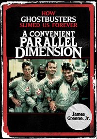 Produktbild: A Convenient Parallel Dimension