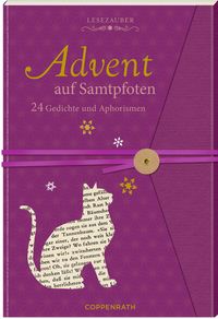 'Briefbuch – Advent Mit Jane Austen' - 'Für Erwachsene'