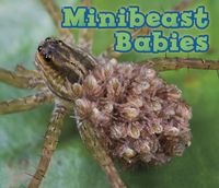 Produktbild: Minibeast Babies