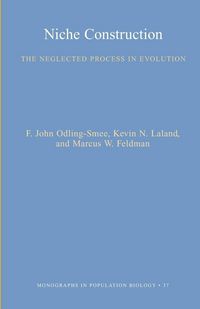 Produktbild: Niche Construction