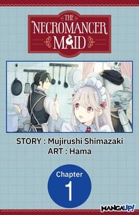 Produktbild: The Necromancer Maid #001