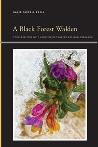 Produktbild: A Black Forest Walden