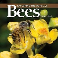 Produktbild: Exploring the World of Bees