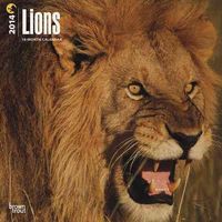 Produktbild: Lions Calendar