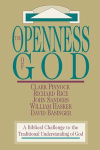 Produktbild: The Openness of God