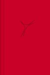 Produktbild: Gotteslob &Ouml;sterreich. Taschenausgabe Kunstleder rot