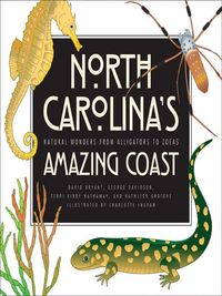 Produktbild: North Carolina's Amazing Coast