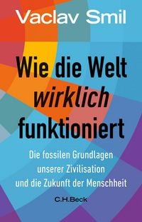 Produktbild: Wie die Welt wirklich funktioniert