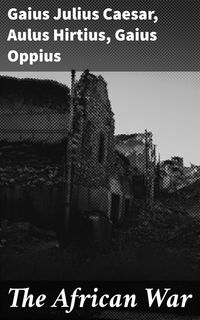 Produktbild: The African War
