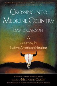 Bild vom Artikel Crossing Into Medicine Country: A Journey in Native American Healing vom Autor David Carson
